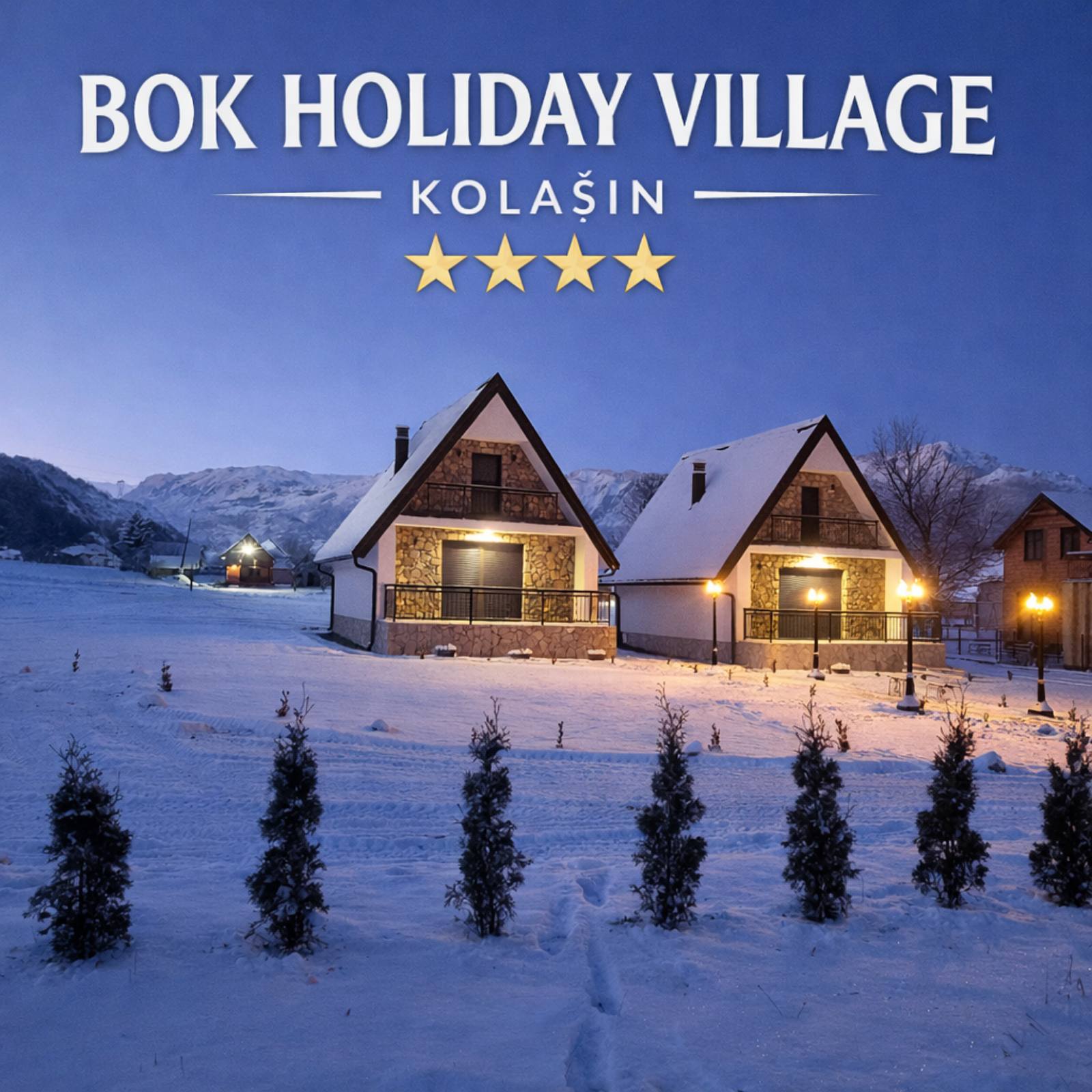 viber_image_2026-02-19_11-44-51-664