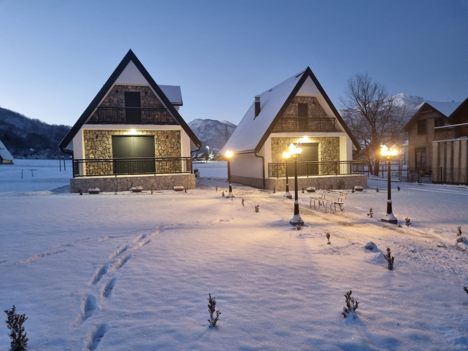 viber_image_2026-02-19_11-44-51-737