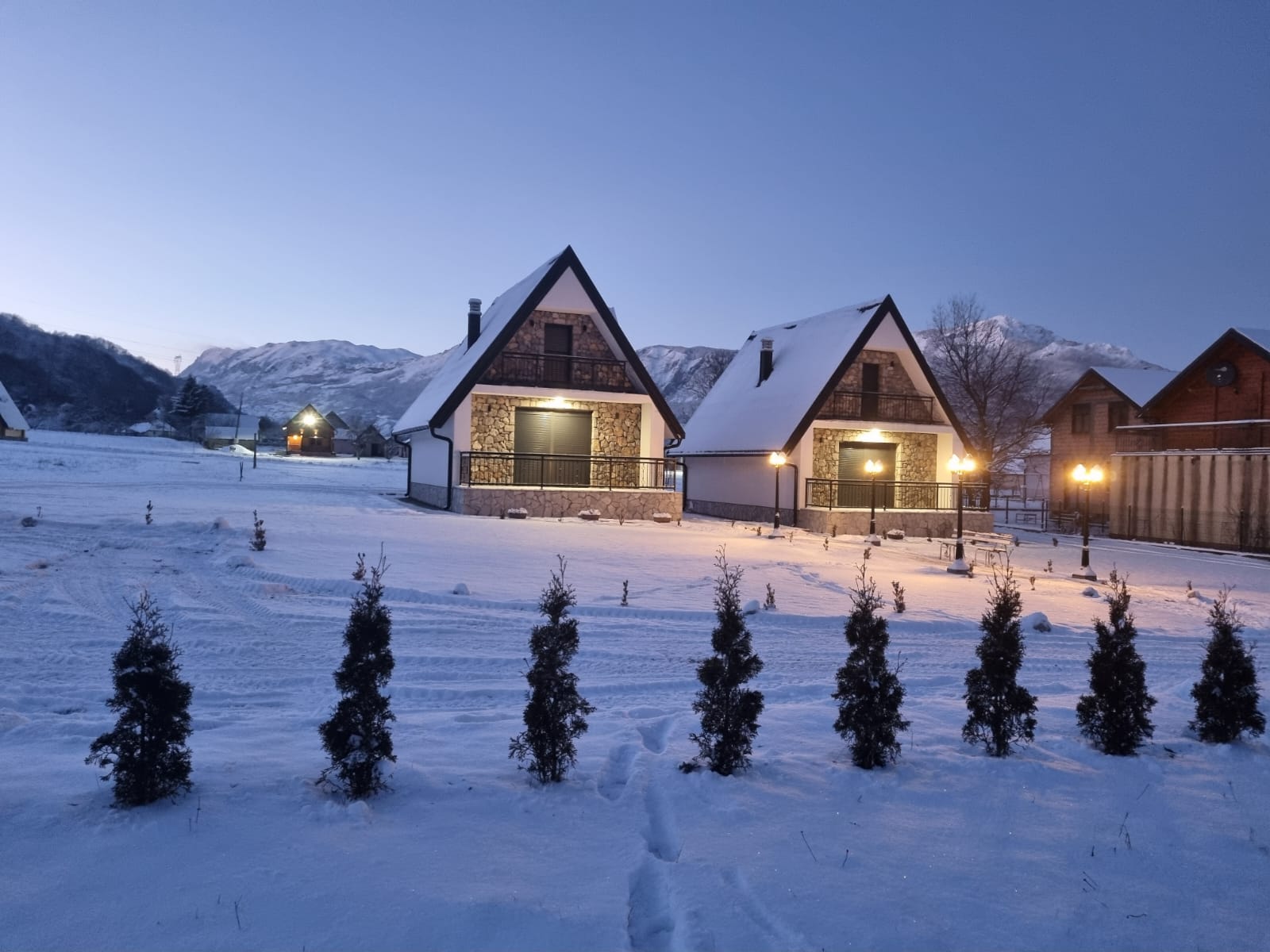 viber_image_2026-02-19_11-44-51-773