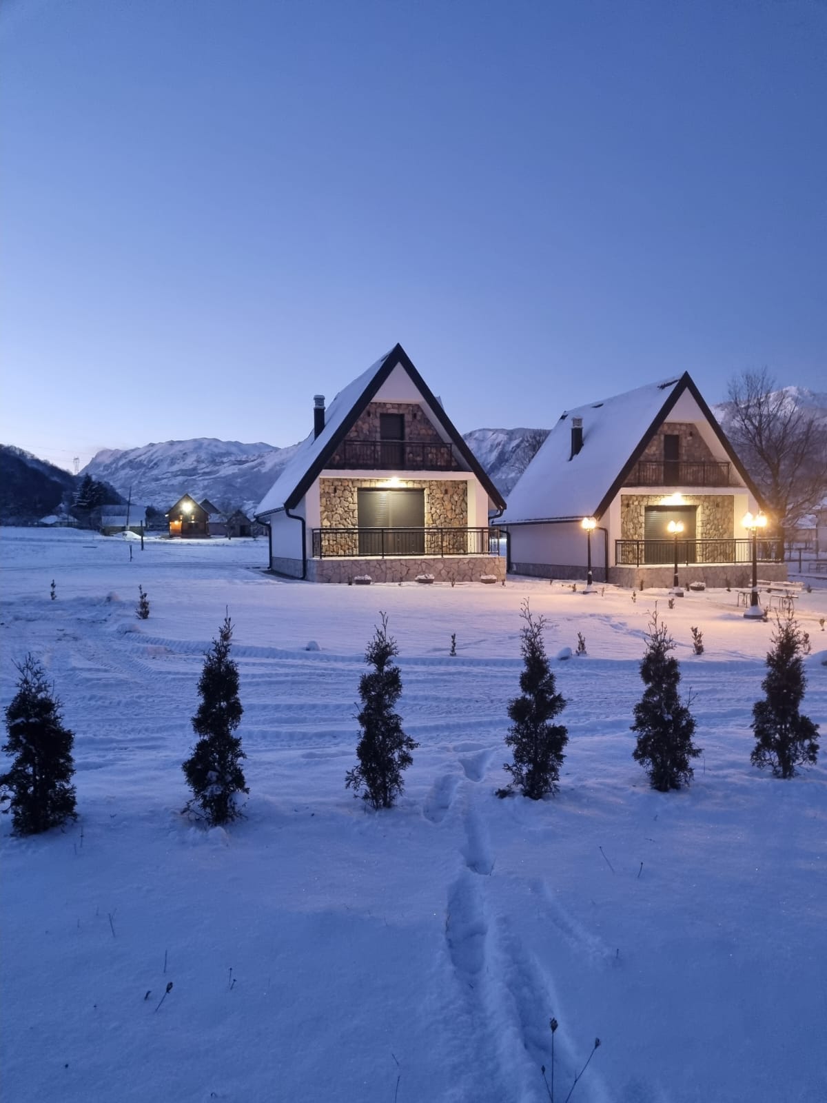 viber_image_2026-02-19_11-44-51-844