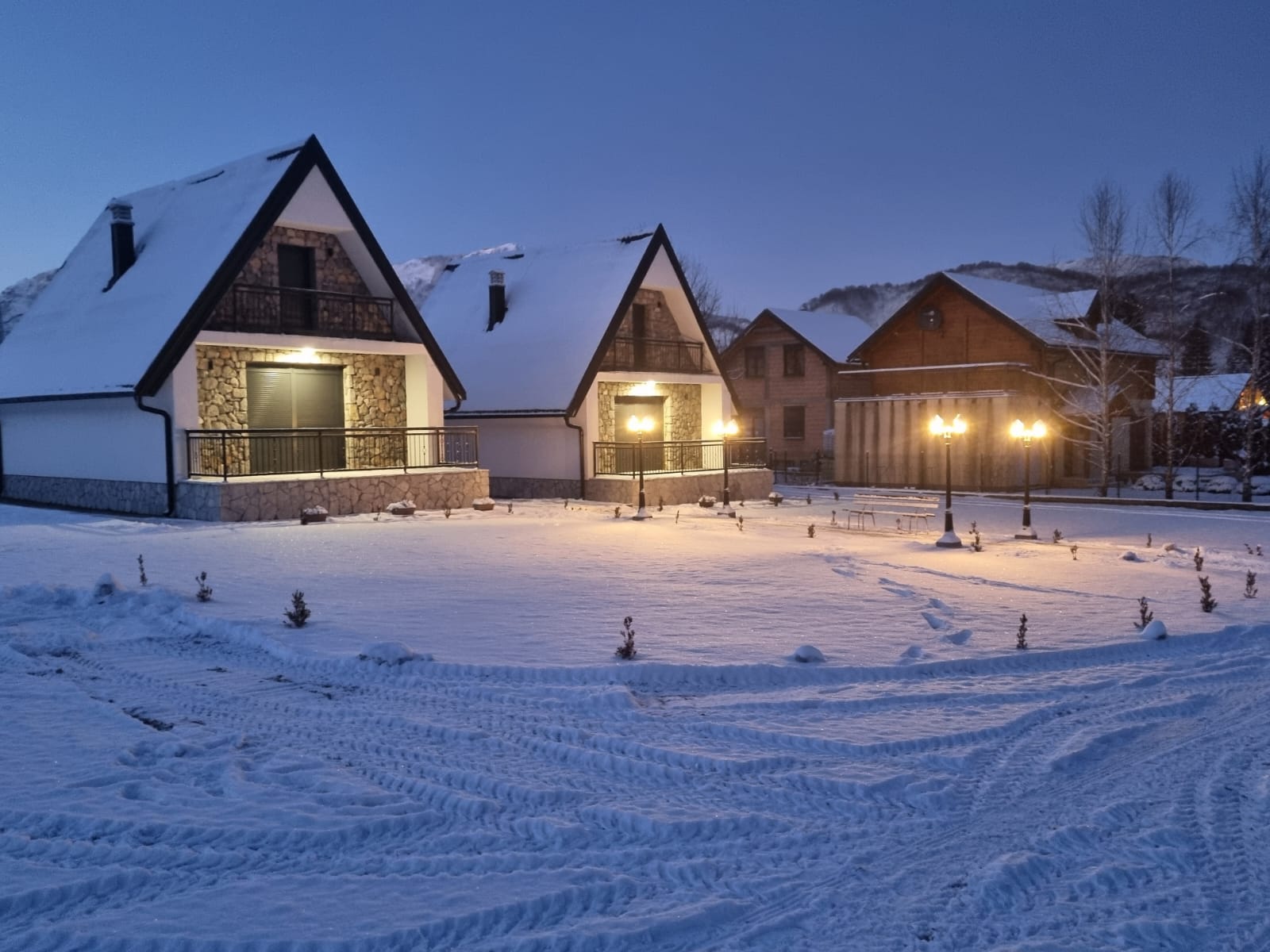 viber_image_2026-02-19_11-44-51-881