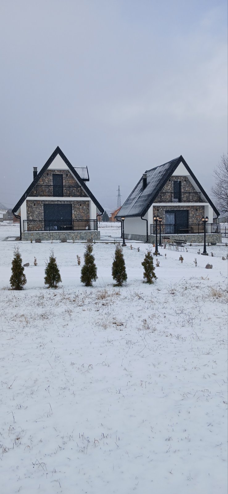 viber_image_2026-02-19_11-44-57-346