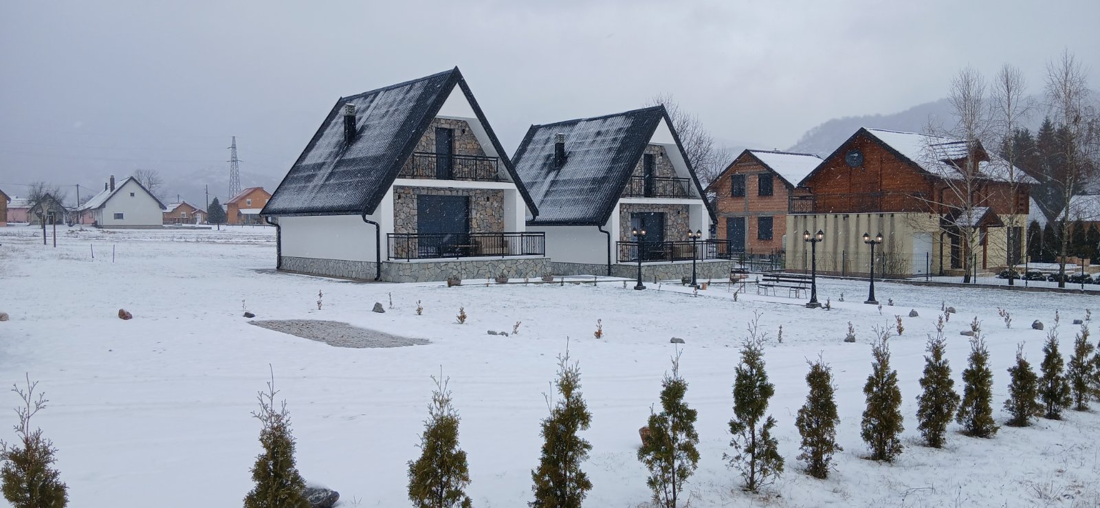 viber_image_2026-02-19_11-44-57-379