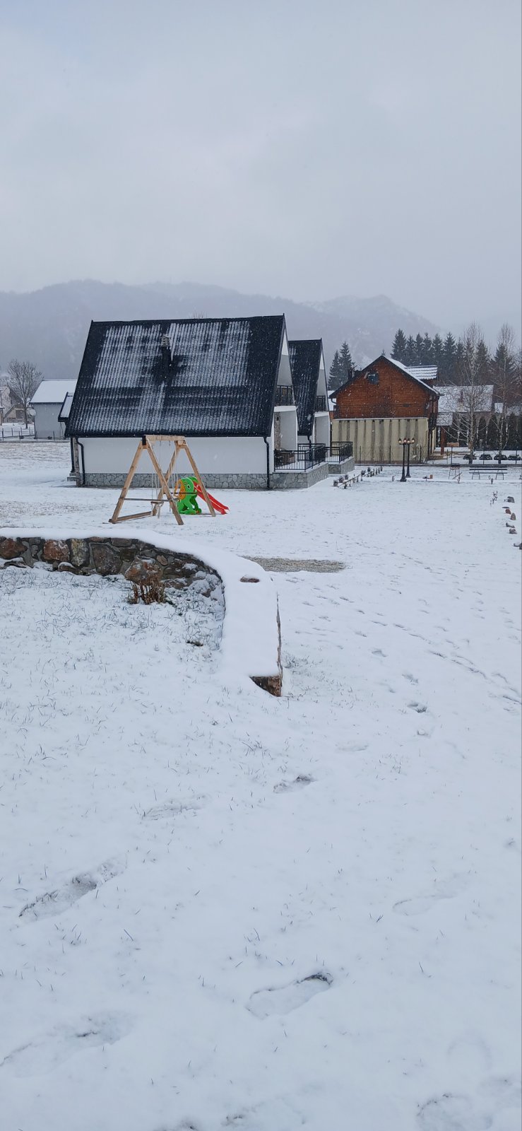 viber_image_2026-02-19_11-44-57-426