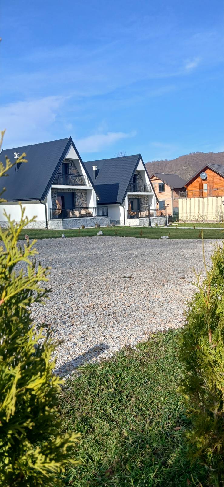 viber_image_2026-02-19_11-45-02-691