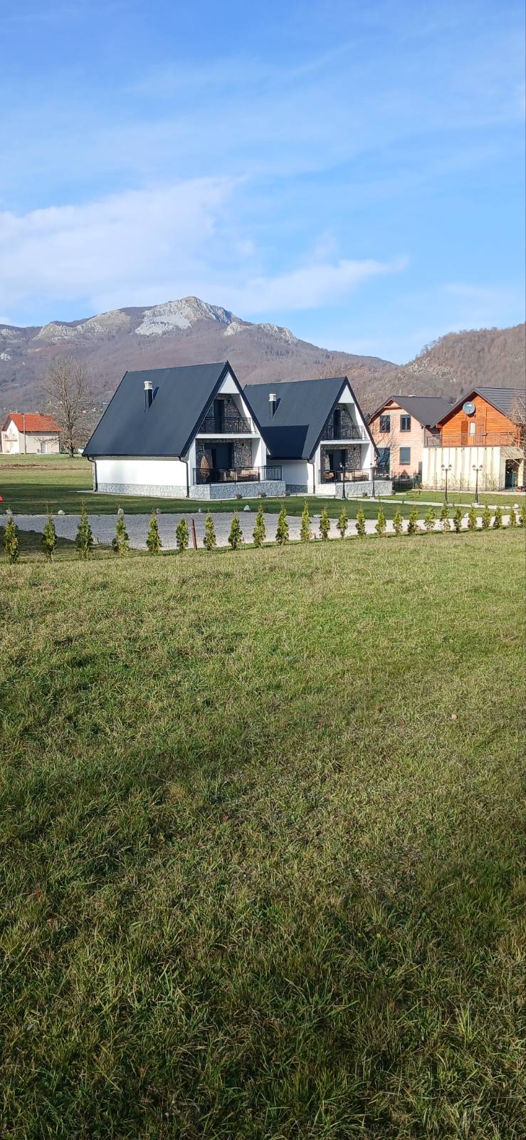 viber_image_2026-02-19_11-45-19-465