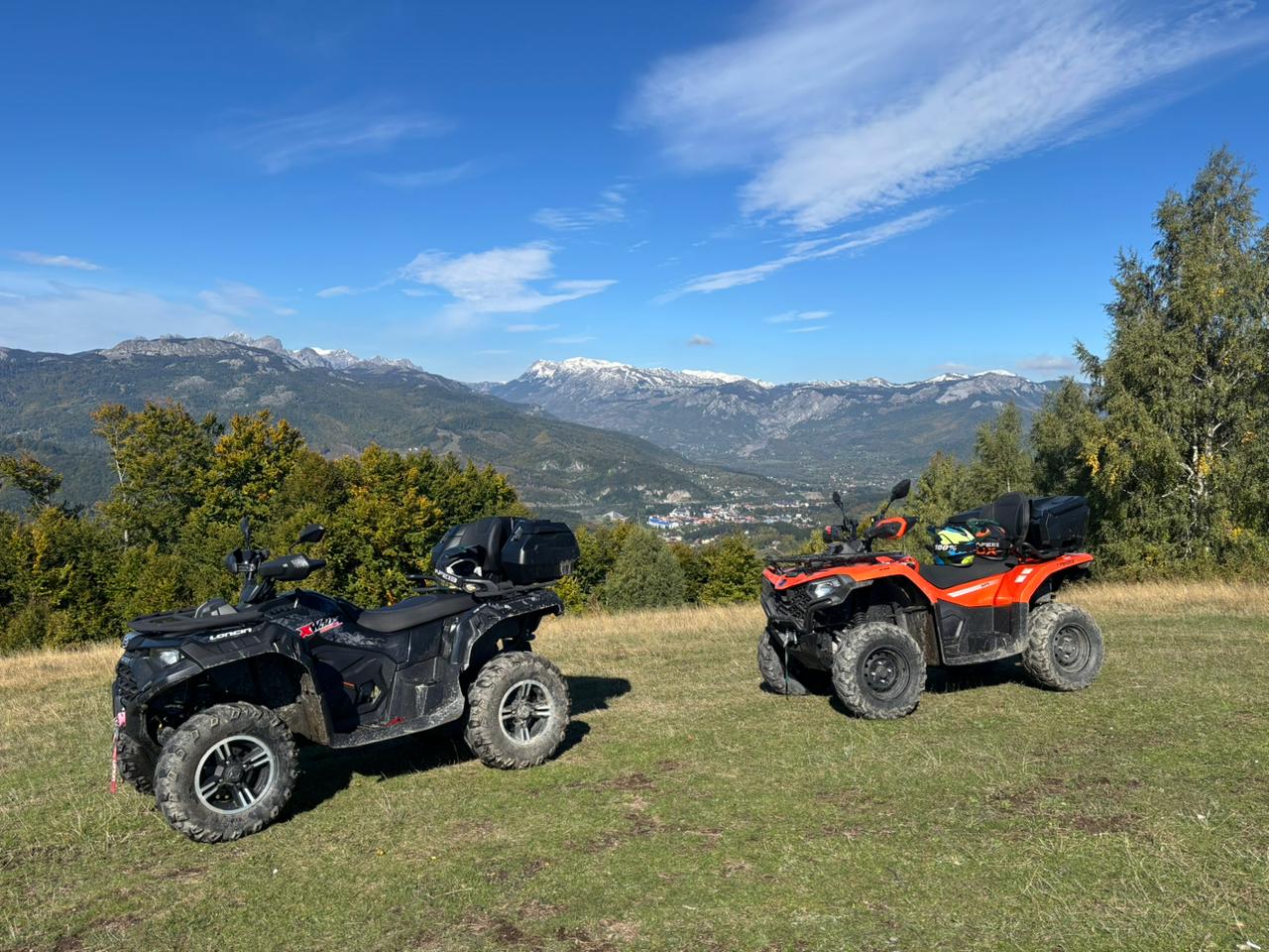 viber_image_2026-02-19_11-45-19-809