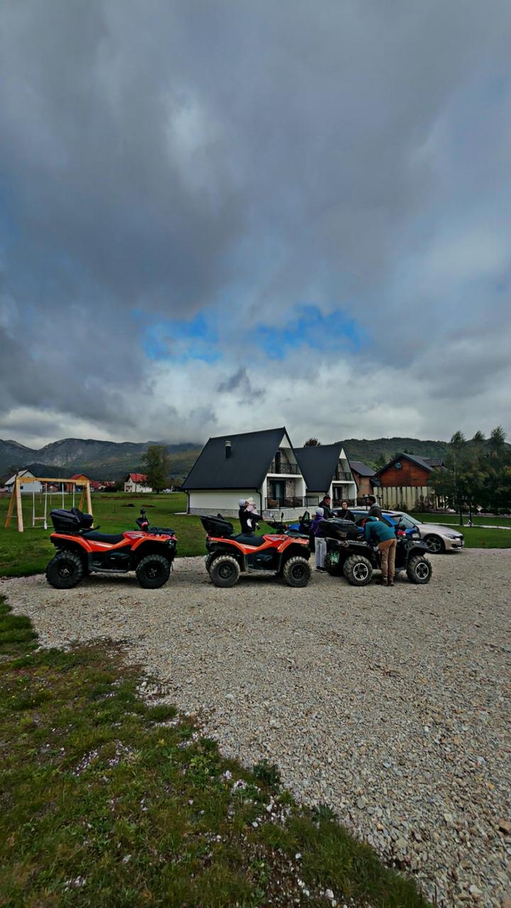 viber_image_2026-02-19_11-45-20-125