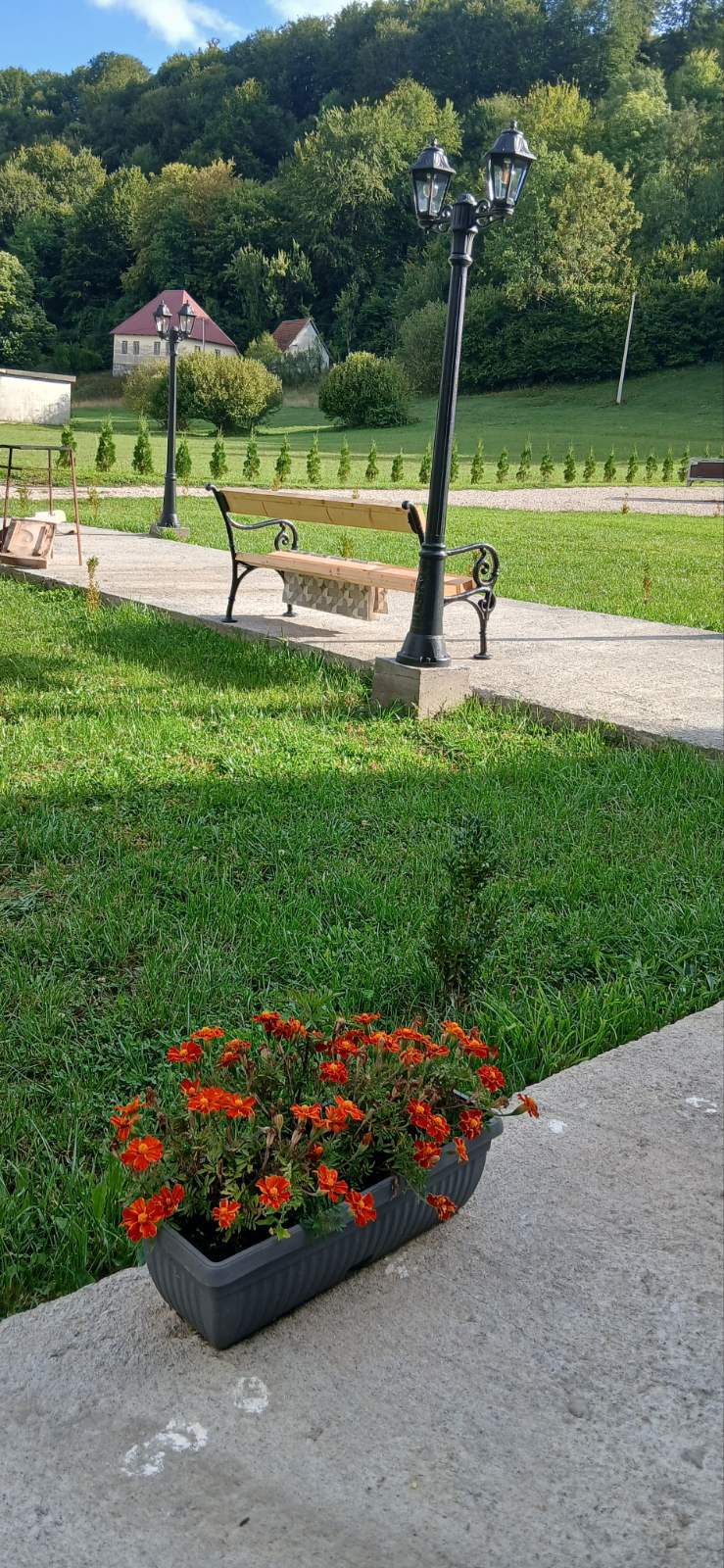 viber_image_2026-02-19_11-45-20-253