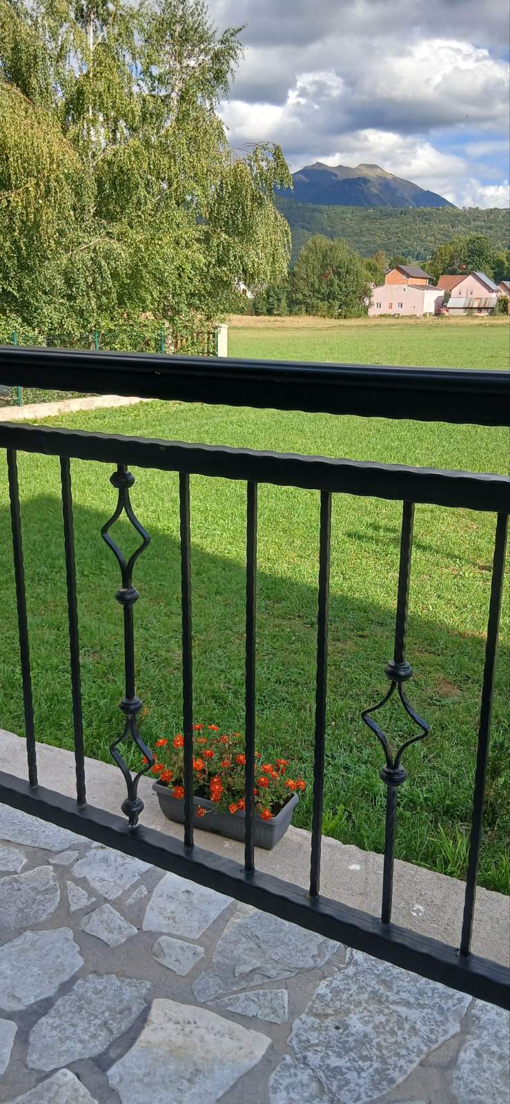 viber_image_2026-02-19_11-45-20-372