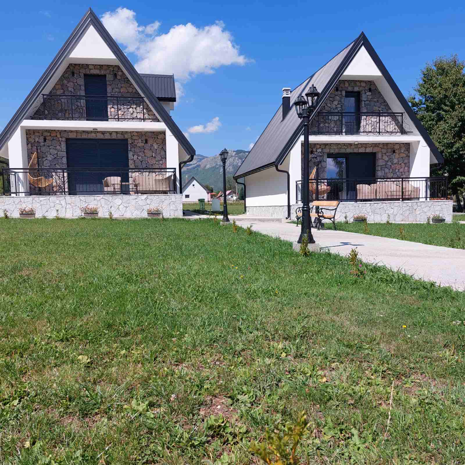 viber_image_2026-02-19_11-45-21-194